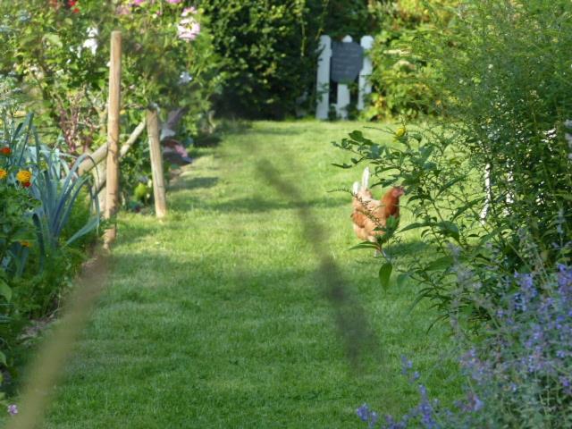 WillemanLe Jardin Du Rossignol公寓 外观 照片